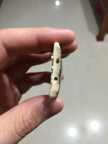 珠海斗門猛犸象牙工藝品 珠寶首飾與自然藝術(shù)的完美融合